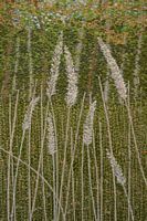 08_EarlyAutumn_embroidery_10x8_2016_$200.jpg