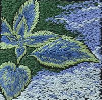 ColeusBlue.jpg